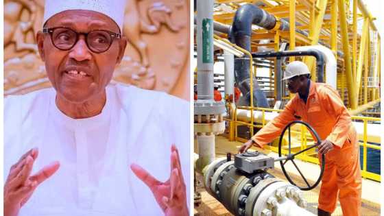 Nigeria takes back number one spot as Africa's largest oil producer, jumps in world ranking
