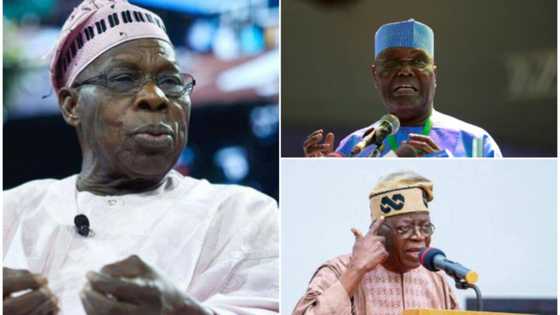 Tinubu: APC chieftain reveals OBJ's terrible description of Atiku, predicts his fate