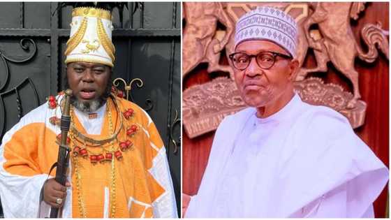 "80 billion dollars was stolen under Buhari": Asari Dokubo makes fresh allegations