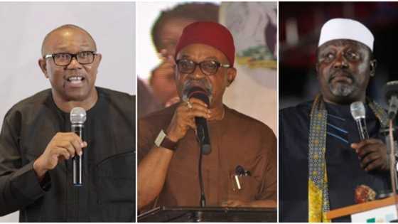 Da dumi-dumi: Igbo sun fitar da mutane 11 da suke so su fito takarar shugabancin kasa