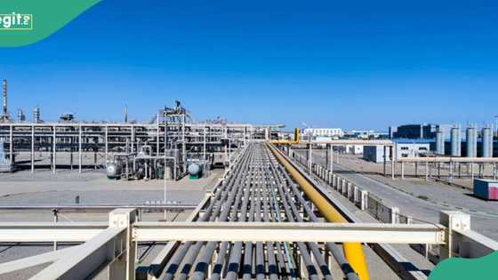 Massive $5bn Train-7 NLNG project employing over 8,000 Nigerians nears completion