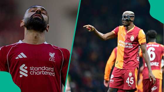 Victor Osimhen: Turkish pundit warns Liverpool ahead of Champions League clash