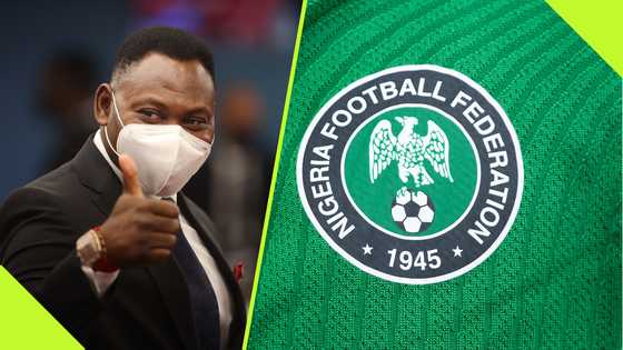 New shortlist emerges as NFF seeks interim coach for Super Eagles: report