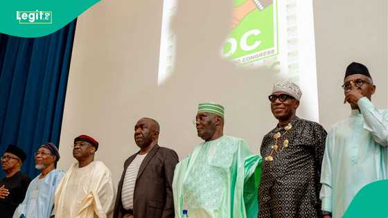 ‘None of them will step aside’: Analyst shares 3 flaws in ADC coalition’s 2027 game plan