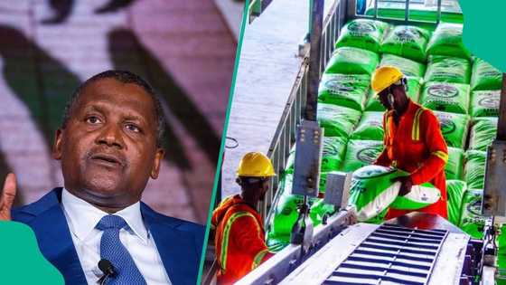 Dangote Fertiliser becomes major supplier as Iranian output declines amid Middle East war