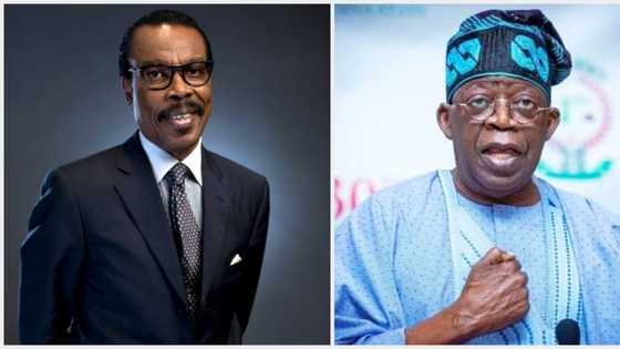 President Bola Tinubu only reduced fuel subsidy, didn’t remove it, says Bismarck Rewane