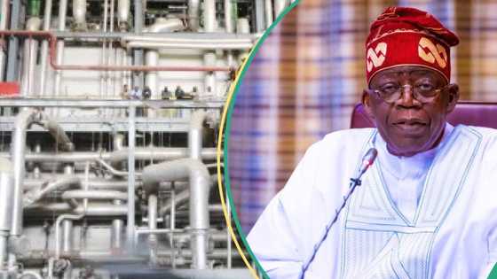 Hope shines on Ajaokuta Steel as Tinubu secures $3bn investment from Indian Investor