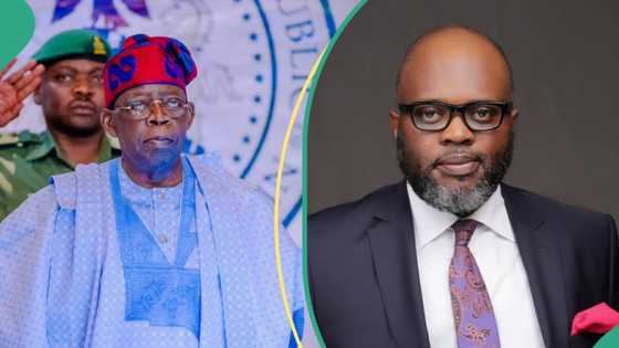 BREAKING: Tinubu appoints new special adviser on economic affairs