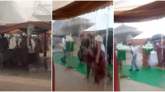 They are Marlians: Reactions as couple, bridesmaids and guests dance in the rain in video, no cash was sprayed