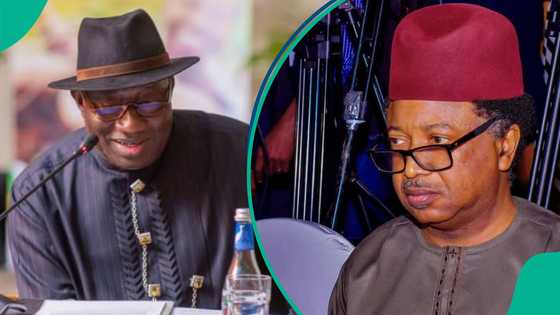 2027: Shehu Sani ya ba Goodluck Jonathan shawara kan shiga takarar shugaban kasa