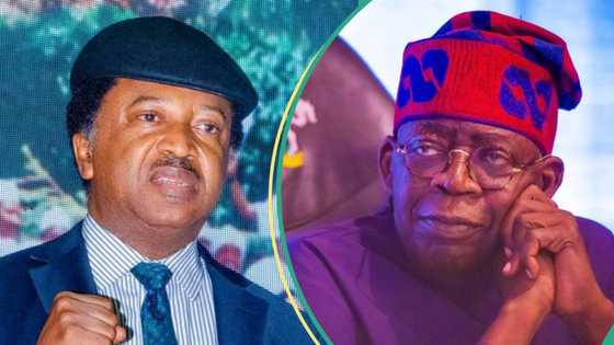 2027 presidency: Shehu Sani explains why north can’t hold Tinubu to ransom over tax reforms