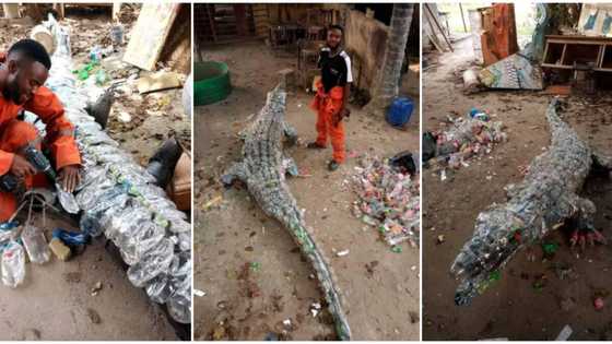 Nigerian man creates a 'moving' crocodile out of plastic wastes, photos cause reactions