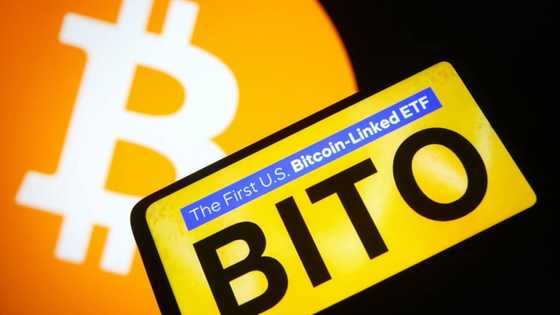 Despite Biden’s executive order, Bitcoin plunges below N16 million