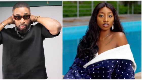 "The real shoot your shot": Fans surprised as Doyin confesses feelings to Sheggz, says "I really like you"