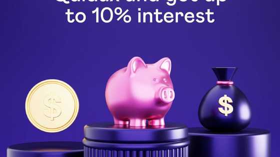 Quidax Launches US Dollar (USD) Savings with to up 10% Interest