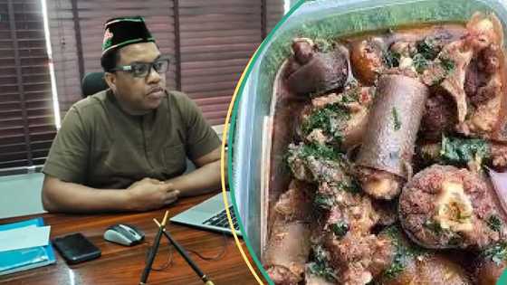 Nigerian lawmakers reject motion to ban dog meat consumption