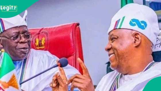 "Bai ya kyamar 'yan Arewa," Kashim Shettima ya kare Tinubu, ya yabawa Abba Gida Gida