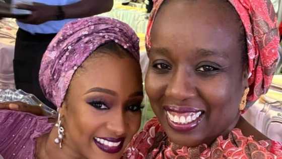 Sukar gwamnatin Buhari da tagwayen Indimi ke yi ya janyo cece-kuce