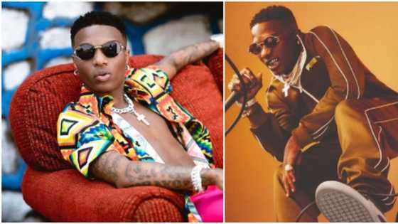 Fan tells Wizkid to take his girlfriend while singer was performing in Lagos, Nigerians react to viral video