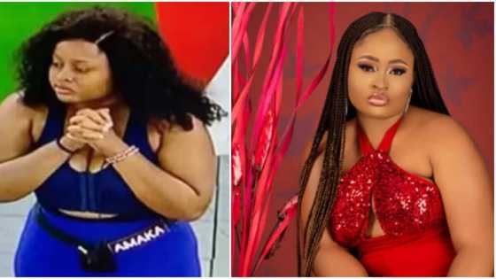 Biggie enters landlord mode, knocks Amaka for trying to burn down his house, sanctions her in viral video