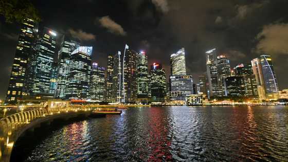 Energy-hungry Singapore eyes deserts, forest for renewables