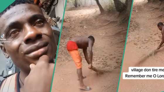 Young Nigerian man in village looks for job, sweeps compound as he seeks help online