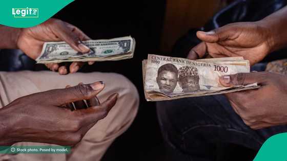 Naira/USD: New exchange rates in official, black markets