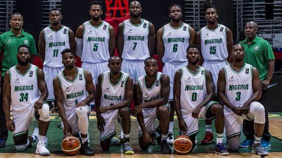 Who brought basketball to Nigeria: interesting facts from history of basketball in Nigeria