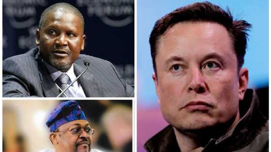 Dangote, Adenuga make list as World Billionaires lost over $1.4 trillion in dramatic 2022