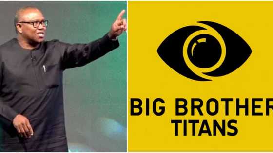 2023 elections: Obi's Labour Party condemns Big Brother Naija Titans, gives reasons, tells youths what to do