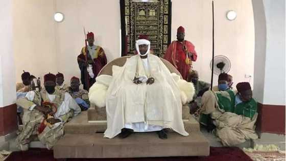 Shehun Borno ya amince da dawo da tubabbun 'yan Boko Haram cikin jama'a da suka yi wa ta'addanci a baya