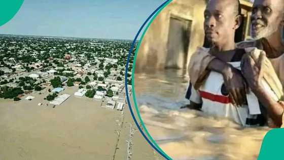 A kwana da shiri: Ana fama da ambaliya a Borno, NiMET ta yi hasashe mai firgitarwa