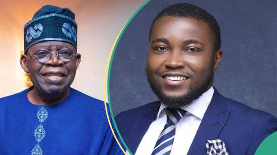 Tinubu appoints prominent Peter Obi’s supporter as special assistant, Ogunlesi, others react