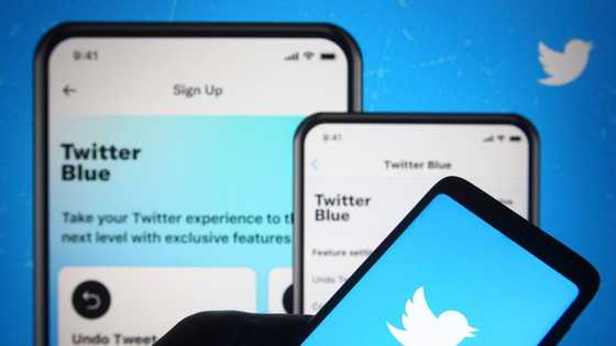 Thank God for VPN: Nigerians react as telcos block access to Twitter