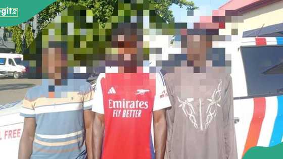 Police nab 3 human parts vendors in Lagos, details emerge