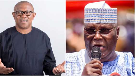 To fah: A kama Atiku da Peter Obi kawai, cewar jigon APC bisa muhimmin dalili