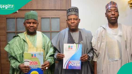 Sanata ya daina jayayya, ya bi bayan dan takarar gwamna da Zulum ya tsayar a Borno