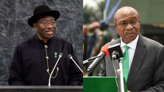 2023: Godwin Emefiele is a better choice for APC than Goodluck Jonathan, says Analyst