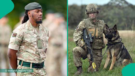 UK Army Releases salaries of dog handler, air conditioning fitter and veterinary nurse