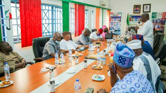 2023: PDP to waive nomination fees for aspirants below the age of 35