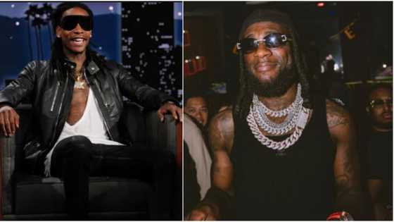 "The song na for smokers normally": Reactions as Wiz Khalifa vibes to Burna Boy's Last Last while smoking