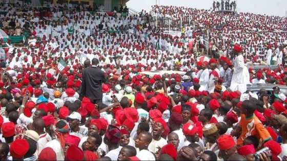 Yanzu-yanzu: Ƙusoshin tafiyar Kwankwasiyya a Kebbi sun koma APC