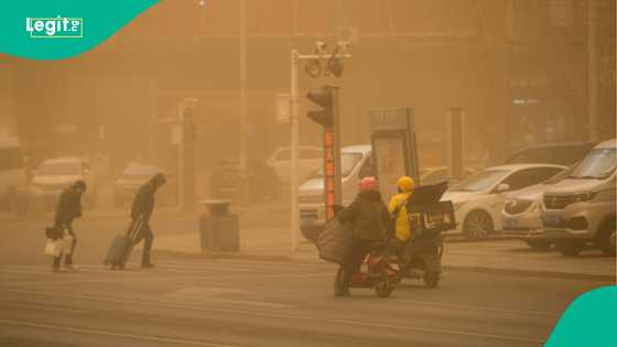 39 confirmed dead after wildfires and dust storms damaged 400 homes, location announced