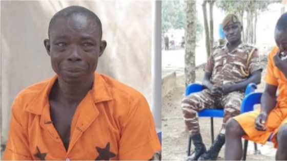 See moment watchman jailed 8 years burst into tears as 'Good Samaritan' pays court fine for his release (see photos)