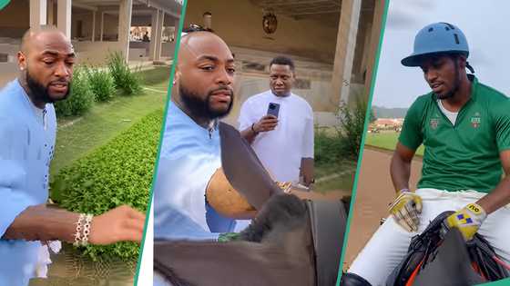 Davido refuses to touch a horse as he gets scared of it, triggering reactions: "Fear fear 001"