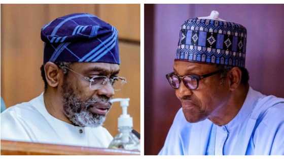 What we'll do after Buhari failed to honour our invitation - Reps