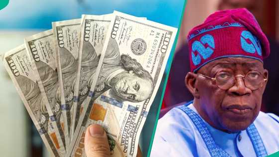 Dollar crashes by 15.28%, Tinubu praised as CBN releases new exchange rates