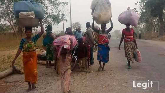 Shugabannin Fulani Da Tibi Sun Amince Da Tsagaita Wuta a Taraba