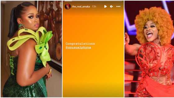 “She no get choice”: BBNaija’s Amaka celebrates Phyna’s win with simple message hours after throwing shade