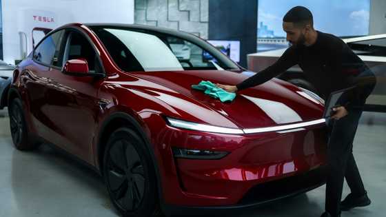 Tesla shares slump 9% on disappointing Europe sales